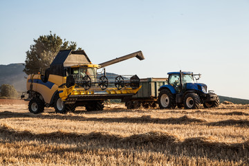 yellow harvester