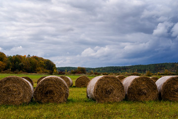 Jesień w okolicach Supraśla, Podlasie, Polska © podlaski49