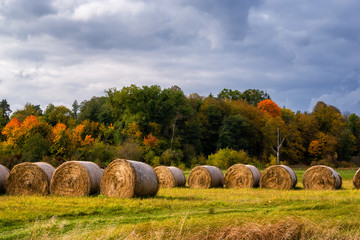 Jesień w okolicach Supraśla, Podlasie, Polska © podlaski49