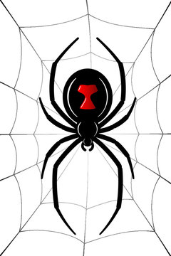 Spider Black Widow, cobweb. Red black spider 3D, spiderweb, isolated white background. Scary Halloween decoration icon web. Symbol networking, animal arachnid, creepy insect fear. Vector illustration