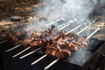 Grilled kebab cooking on metal skewer. Roasted meat cooked at barbecue. Picnic, street food. Smoke.