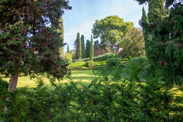 Blick durch schönen Garten