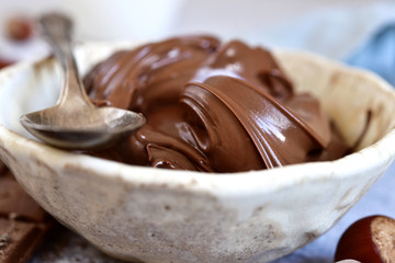 Homemade chocolate hazelnut spread in a white bowl .