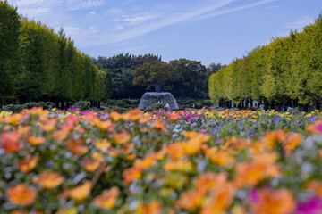 Obraz premium 公園