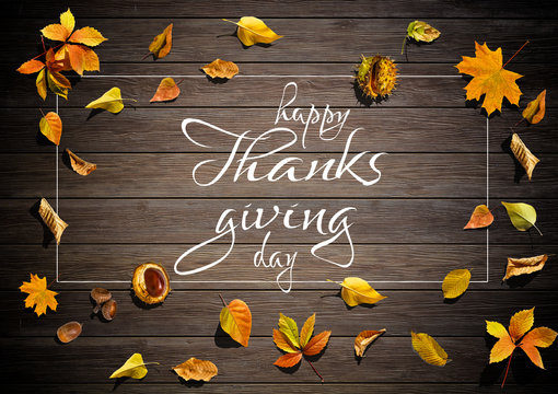 Happy Thanksgiving Day hand-lettering text. Handmade vector calligraphy on Wood Background with Leaves
