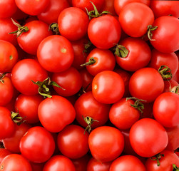 Ripe cherry tomatoes background. The view of the top.