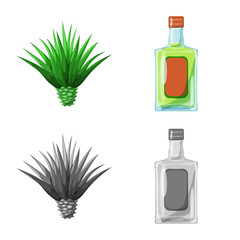 Vector illustration of cafe and Latin icon. Collection of cafe and national stock vector illustration.