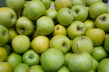 A lot of fresh green apples. Green ripe apples background.