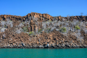 Landscape of Galapagos island .