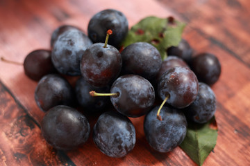 blue plums from his garden on a wooden table