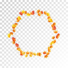 Maple leaves vector illustration, autumn foliage on transparent background.