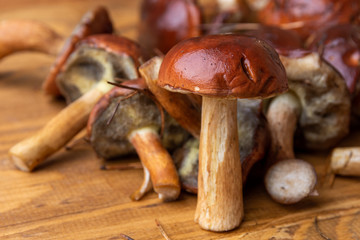 mushrooms on a wooden background with space for text