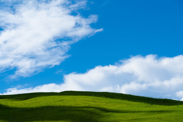 Green grassland background as the sky and clouds