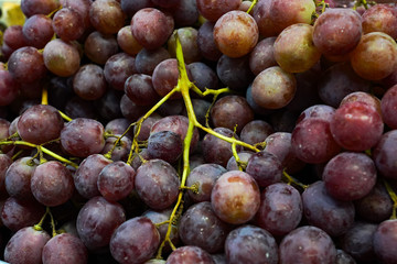 Large grapes. Pile of red grapes. Fresh fruit sale. The grape juice.
