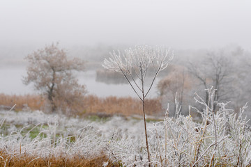 Field in the fog covered with hoarfrost on cold autumn day