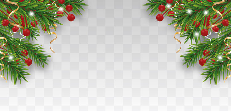 Christmas and Happy New Year border with Christmas tree branches and holly berries, golden ribbons on transparent background. Vector