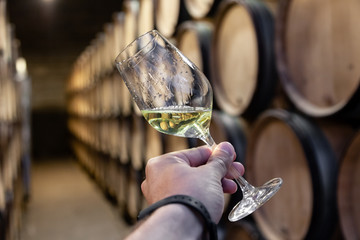 Closeup hand with glass of white wine on background wooden oak barrels stacked in straight rows in order, old cellar of winery, vault. Concept professional degustation, winelovers, sommelier travel - obrazy, fototapety, plakaty