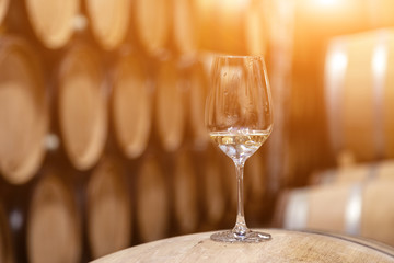 Closeup glass with white wine on background wooden wine oak barrels stacked in straight rows in order, old cellar of winery, vault. Concept professional degustation, winelovers, sommelier travel