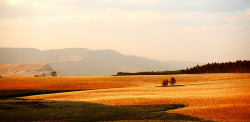 Fototapeta premium Styalised of Midlands vista, Currys Post, KwaZulu Natal, South Africa