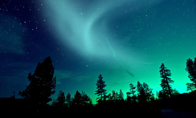 Noorderlicht aurora borealis boven bomen