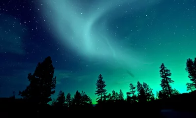 Küchenrückwand glas motiv Nordlichter Nordlicht Aurora Borealis über Bäumen