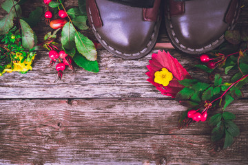 still life of plants in autumn-oak, rose hips, grapes, leaves