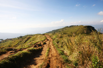 Natural footpath and dry grassland on the mountain with blue sky at Phu Chee Fah hill northern of Thailand