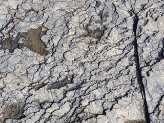 Grey stone texture close up