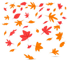 Autumn landscape, fall trees with yellow leaves, lonely bench for contemplation of autumn nature, vector, isolated, cartoon style