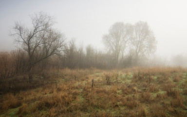 Autumn landscape. Photo of an autumn meadow on an early foggy morning.