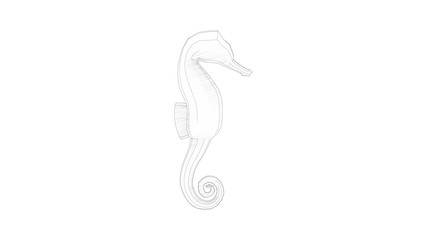 3d rendering illustration of a sea horse isolated in white studio background