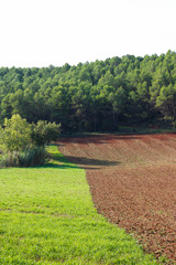 Field half plowed in a rural zone in Catalonia, Spain