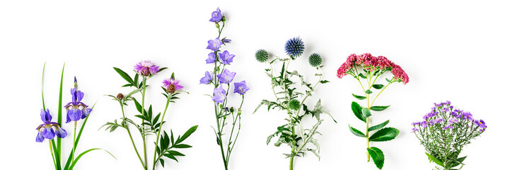 Garden flowers collection