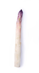 Roher weißer Spargel mit violetten Kopf angeboten als closeup vor weißem Hintergrund mit Textfreiraum - freigestellt
