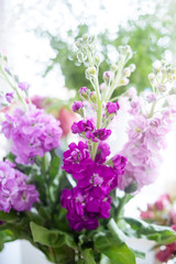 bouquet of lilac flowers