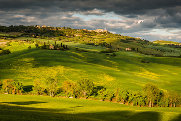 Fototapeta na wymiar Impressive spring landscape,view with vineyards and cypresses,tuscany,italy