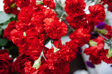 red carnation flowers