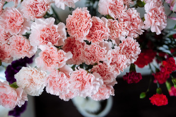 pink and white flowers