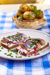 Sandwich fish, red onions and cheese and potatoes is on the plate