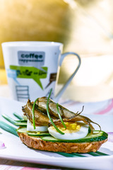 Sandwich sprats, cucumber and egg is on the plate