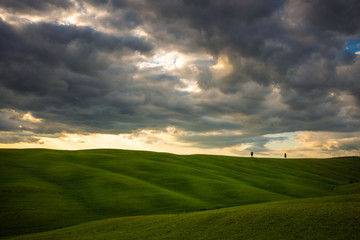 Impressive spring landscape,view with vineyards and cypresses,tuscany,italy