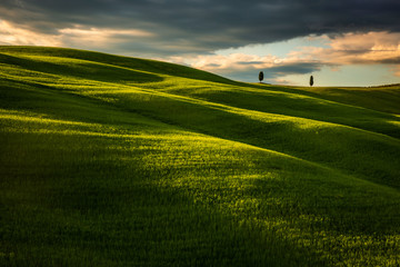 Impressive spring landscape,view with vineyards and cypresses,tuscany,italy
