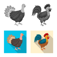 Isolated object of breeding and kitchen icon. Set of breeding and organic stock symbol for web.