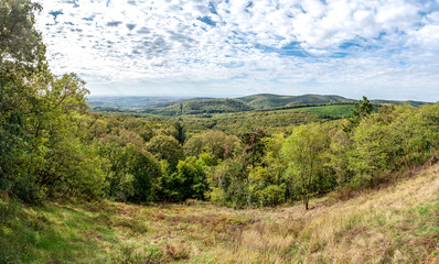 Fototapeta na wymiar Panorama and view of the forest from the viewpoint of Fruška Gora