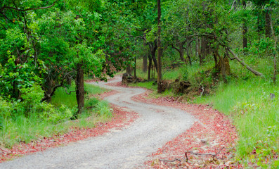 Long way to go