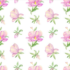 Watercolor pattern of a branch with flowers pink Magnolia flower spring card.