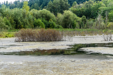 Wildlife Refuge Wetlands 5