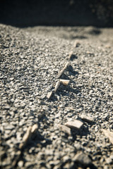 Arid landscape view