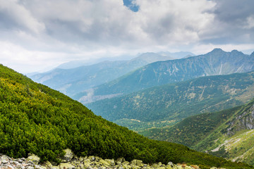 Fototapeta na wymiar Beautiful Tatry mountains overgrown with green vegetation.