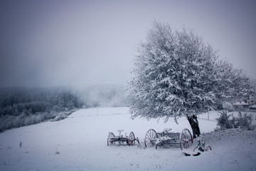 paysage de neige dans les Monts du Forez